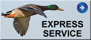 Onondaga County Taxidermists