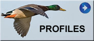 Oneida Lake Taxidermists