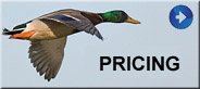 Oswego County Taxidermists