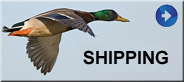 Northshore Taxidermy